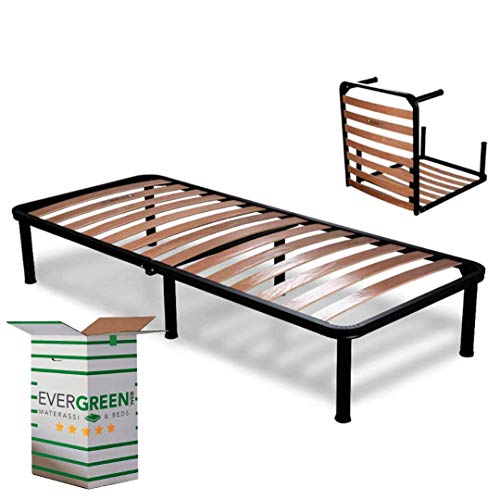 24703 1 evergreenweb singola telaio.jpg