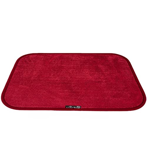 127291 1 aladino il tappeto magicoa la.jpg